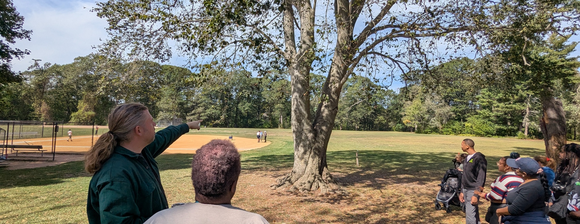 Urban Tree Identification